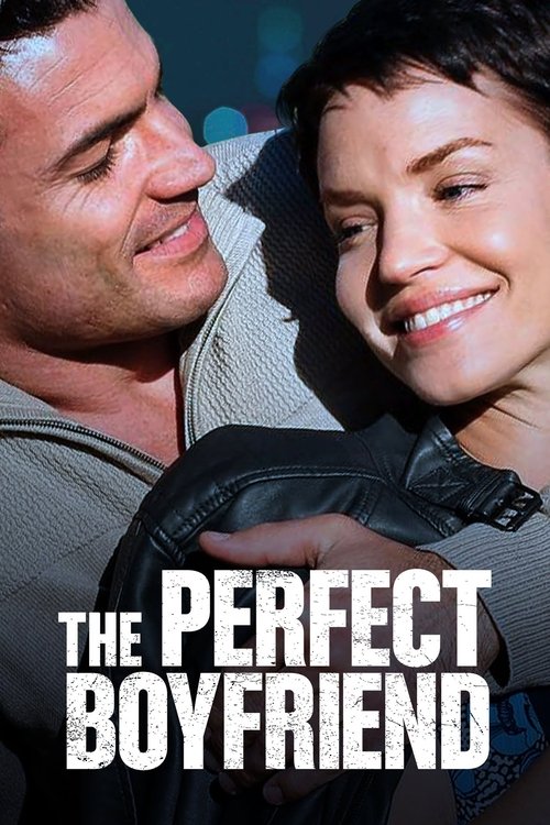 The Perfect Boyfriend (2013) poster