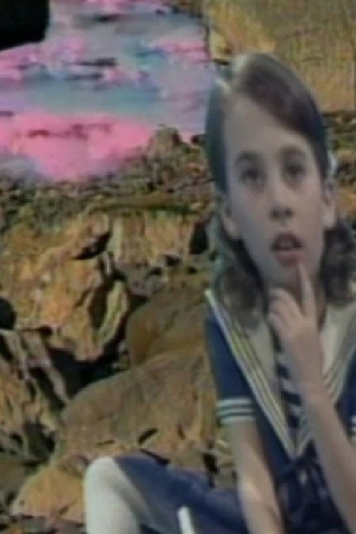 The Sand Collectors (1995) poster