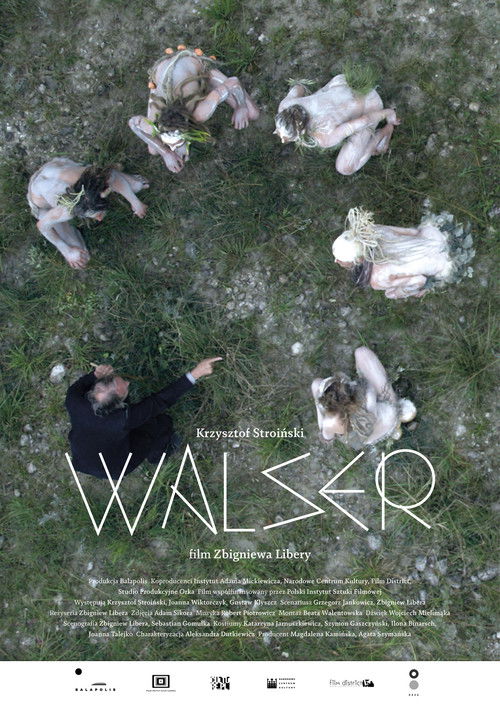 Walser (2016) poster
