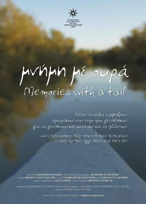 Memories with a Tail (2022) poster