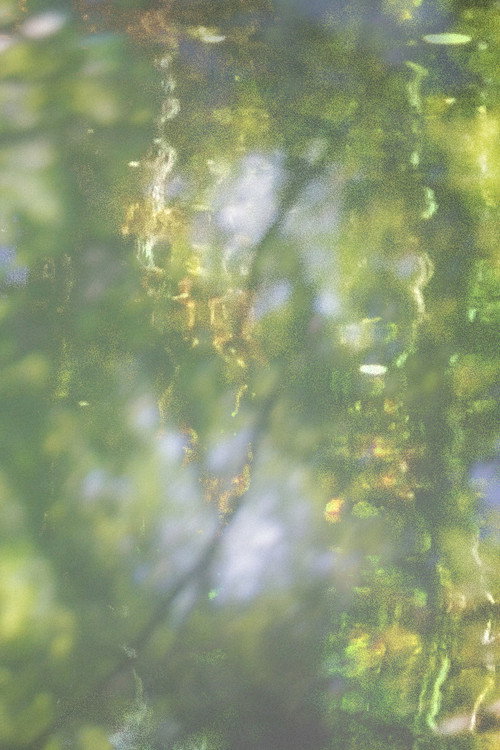 Printemps (2025) poster