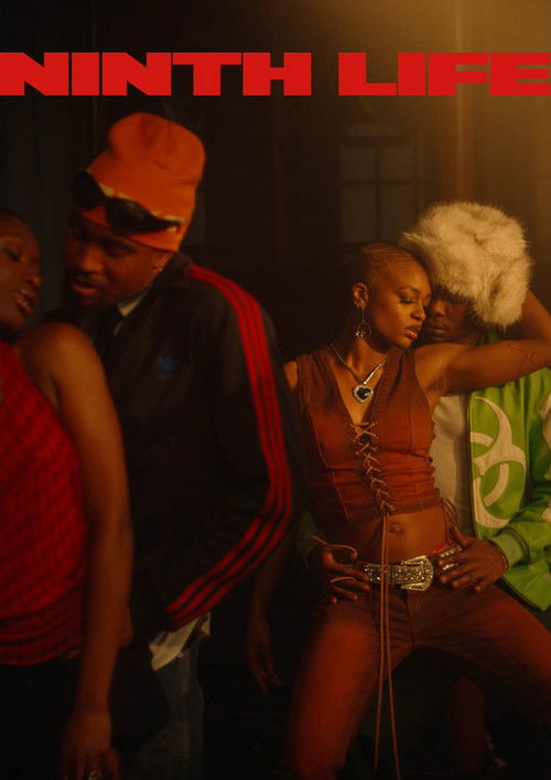 Ninth Life (2024) poster