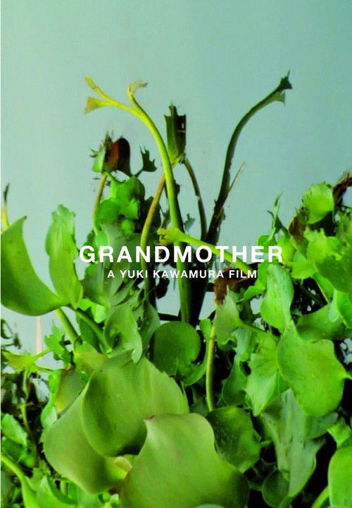 Grandmother (2010) poster