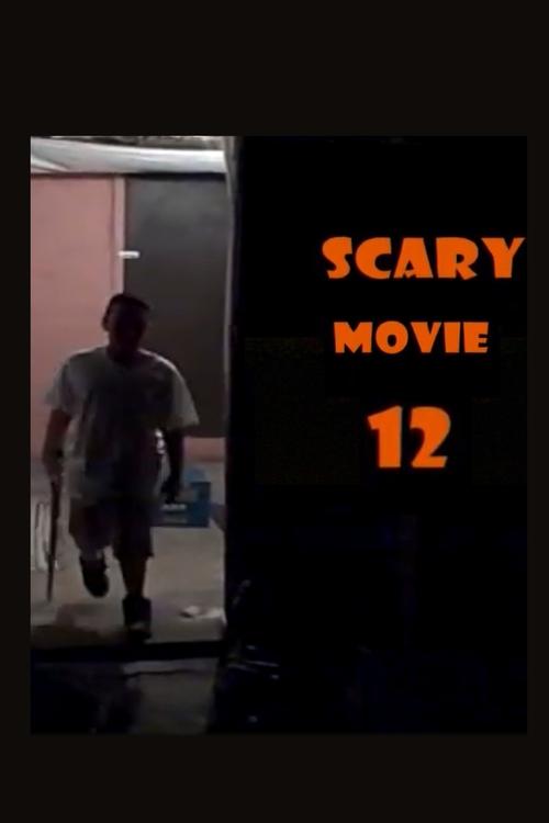 Scary Movie 12 (2009) poster