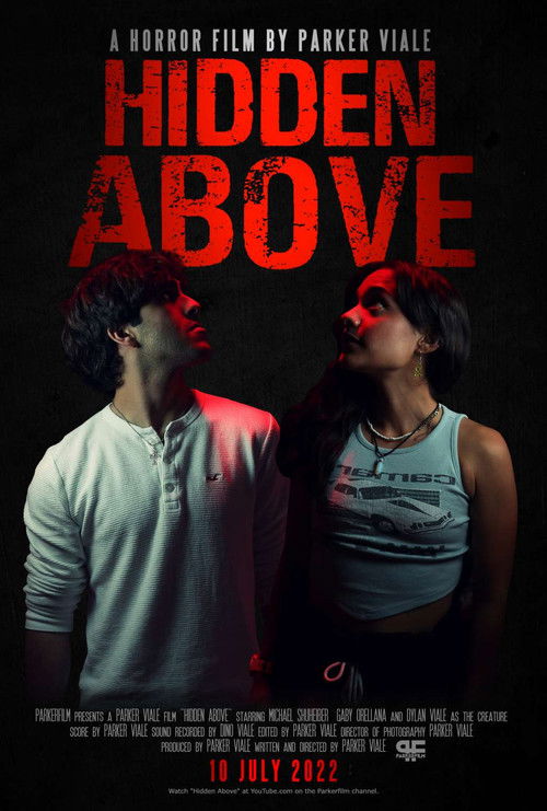 Hidden Above (2022) poster