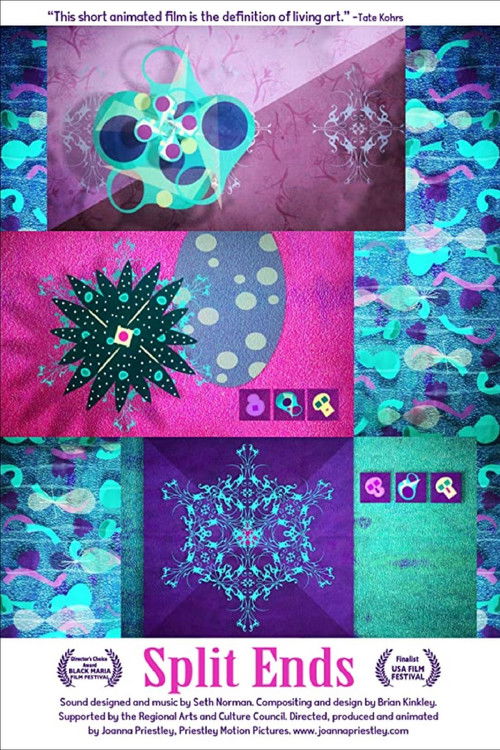 Split Ends (2013) poster