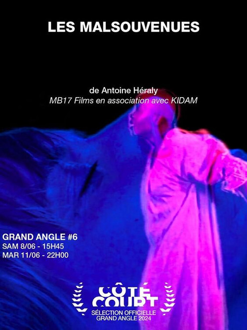 Les malsouvenues (2024) poster