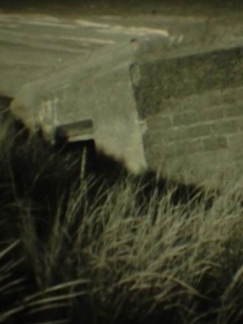 Continental Drift (2003) poster