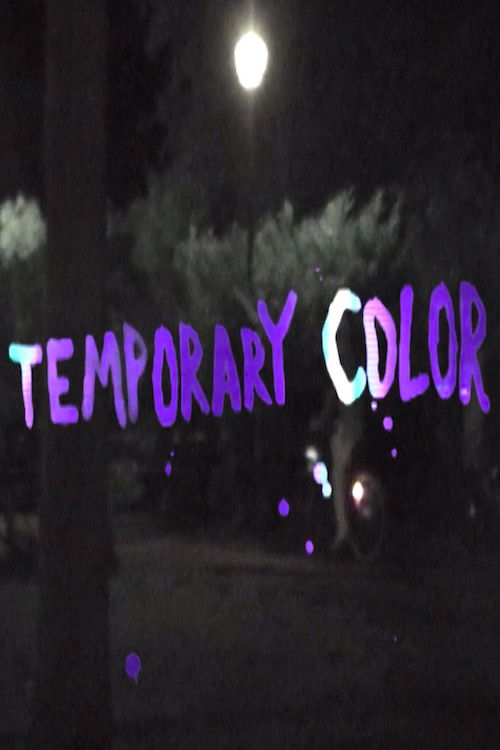 Temporary Color (2016) poster