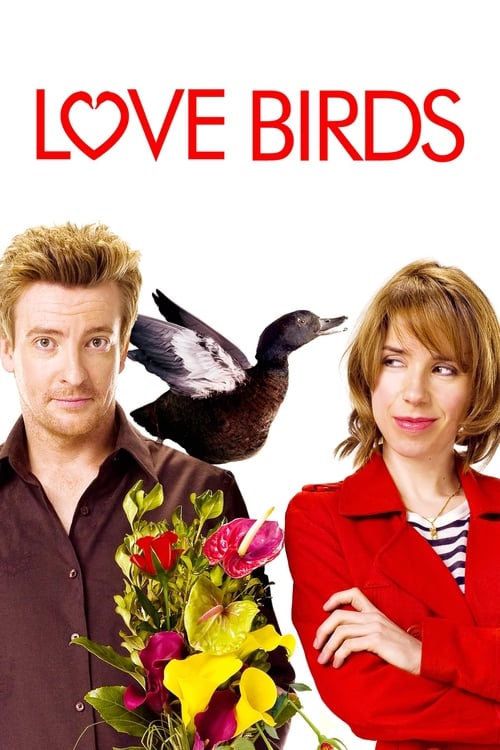 Love Birds (2011) poster