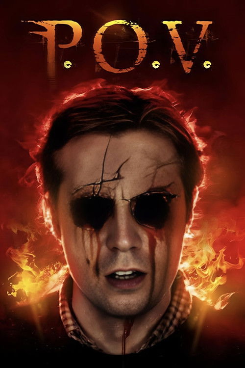 P.O.V (2014) poster