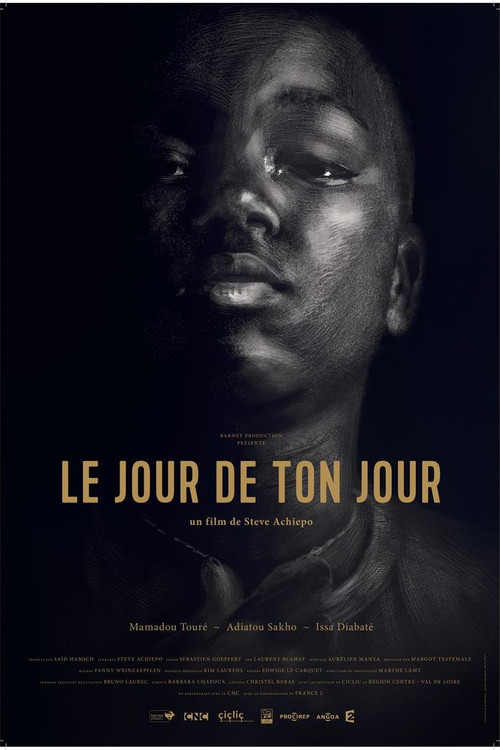 Le jour de ton jour (2017) poster