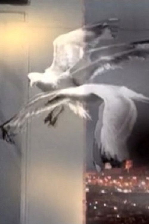 Entrer Dans Le Rêve (2009) poster