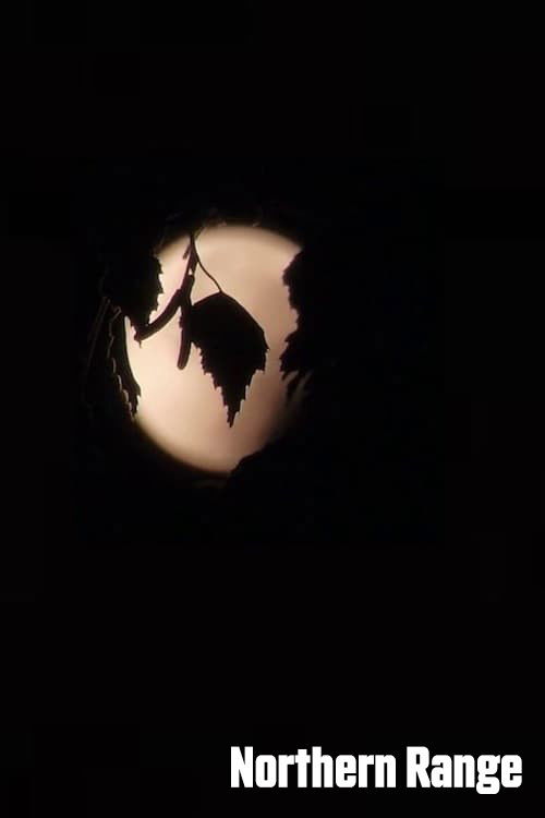 Northern Range (2020) poster