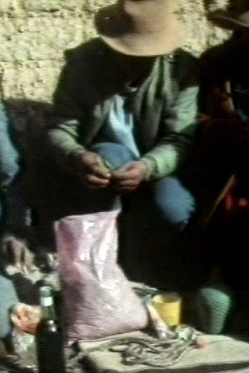 The Condor and the Bull (1989) poster