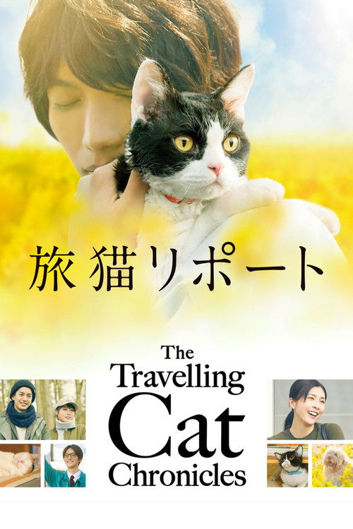 The Travelling Cat Chronicles (2018) poster