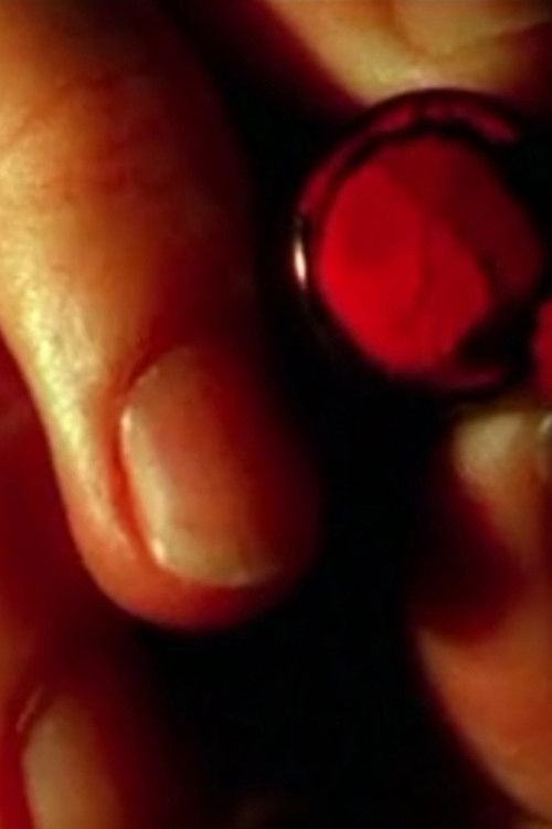 Parabellum Girl (2003) poster