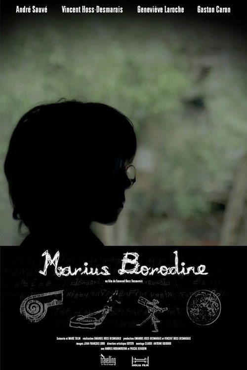 Marius Borodine (2010) poster