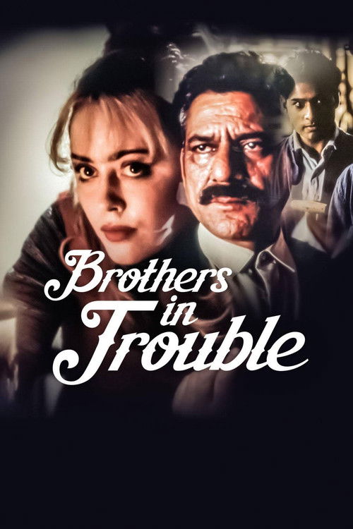 Brothers in Trouble (1995) poster