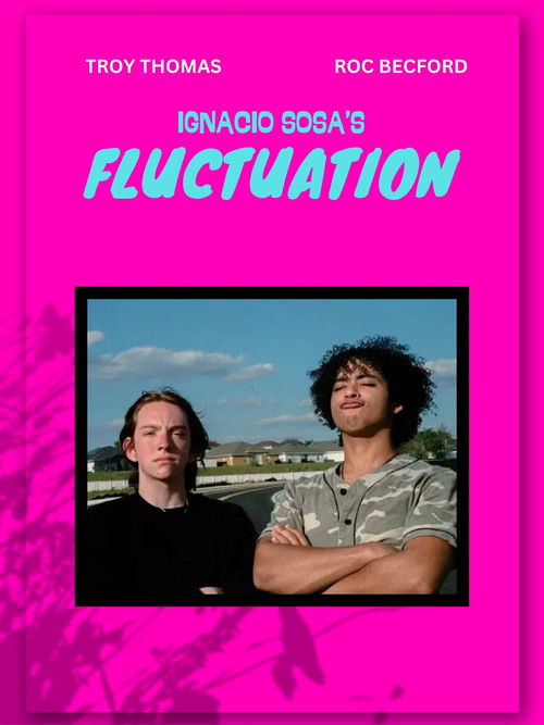 Fluctuation (2023) poster