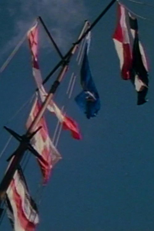 Un cirque sur le fleuve (1993) poster