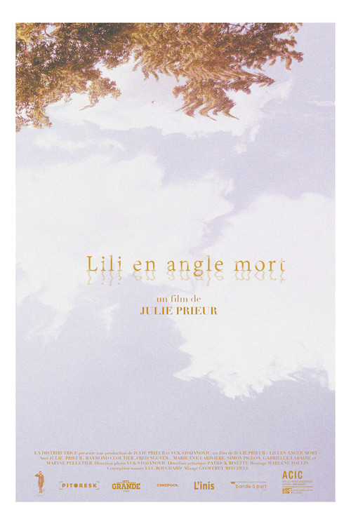 Lili en angle mort (2019) poster