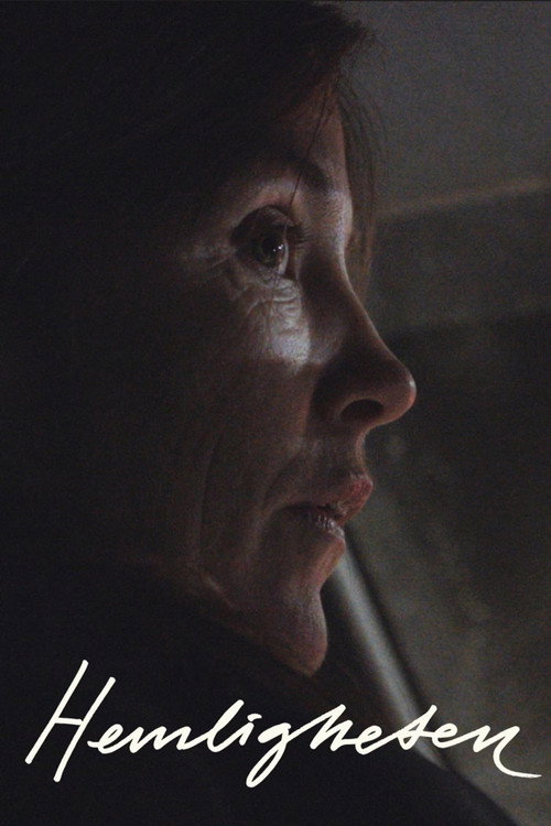 Hemligheten (2023) poster