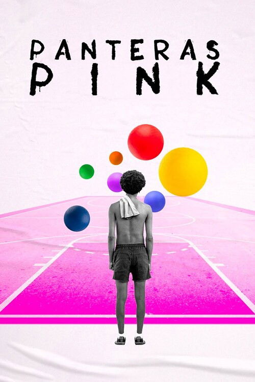 Panteras Pink poster