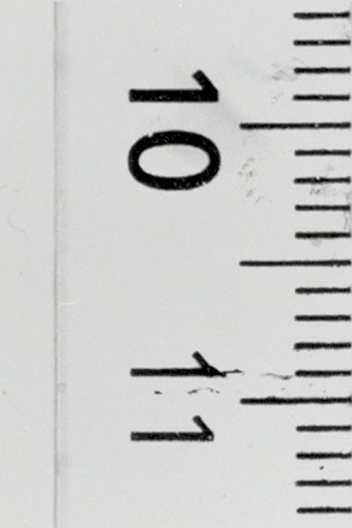 Distance Film (2020) poster