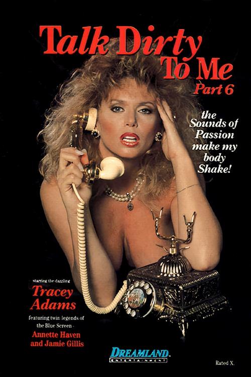 Talk Dirty To Me 6 (1989) poster
