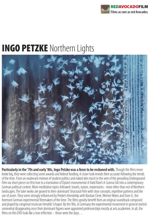 Northern Lights (2015) poster