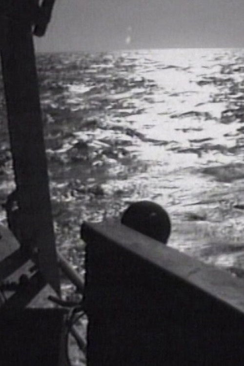 South Atlantic (2013) poster