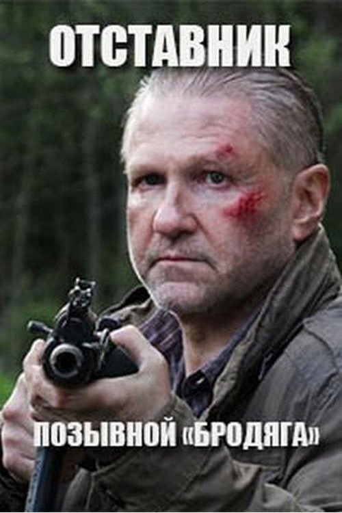 Отставник. Позывной "Бродяга" (2017) poster