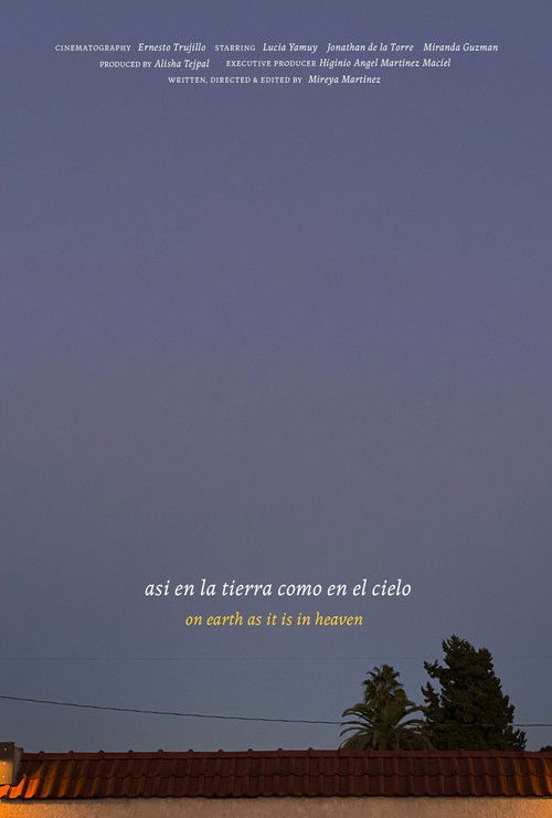 Así en la tierra como en el cielo (2022) poster