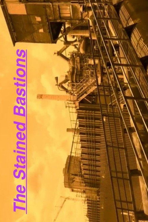 The Stained Bastions (2025) poster