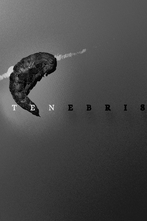 Tenebris (2024) poster