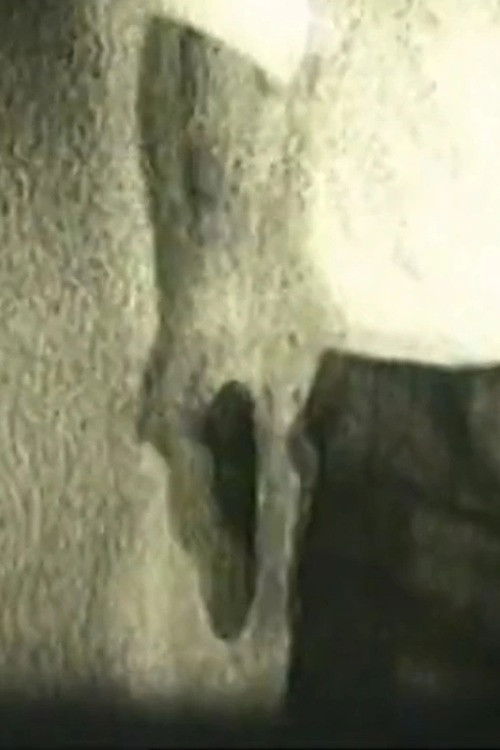 Table-Tennis (1966) poster