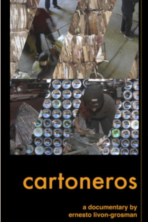 Cartoneros (2006) poster