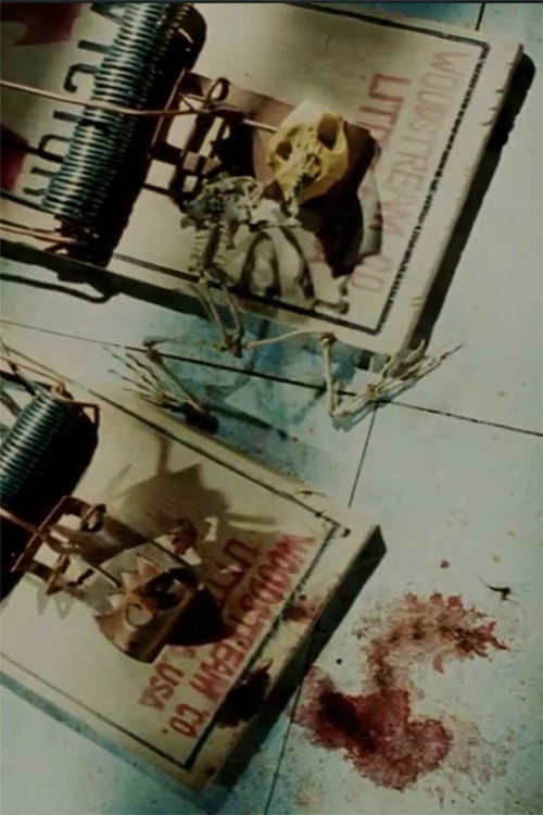 Frog Skeleton (1991) poster