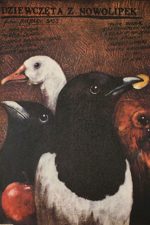 The Girls of Nowolipki (1986) poster