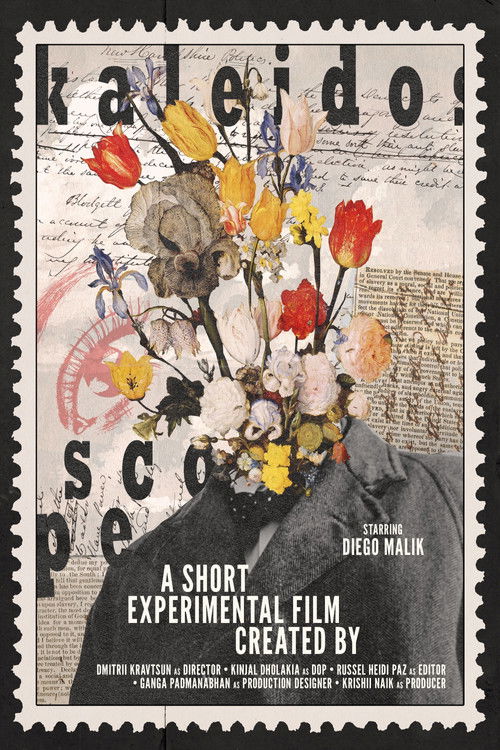 Kaleidoscope (2024) poster