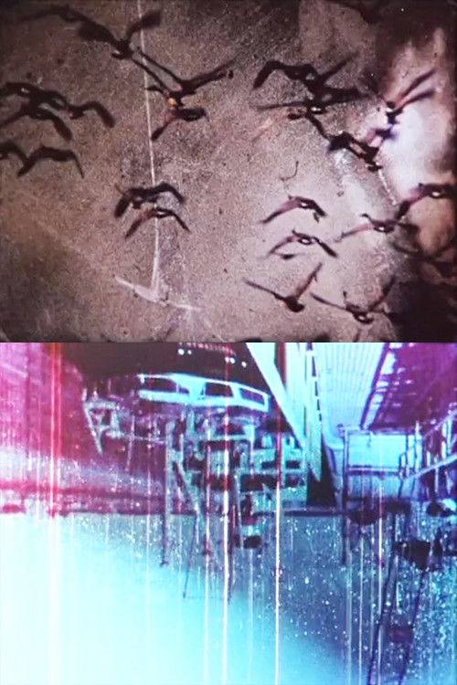 Deliquium (2003) poster