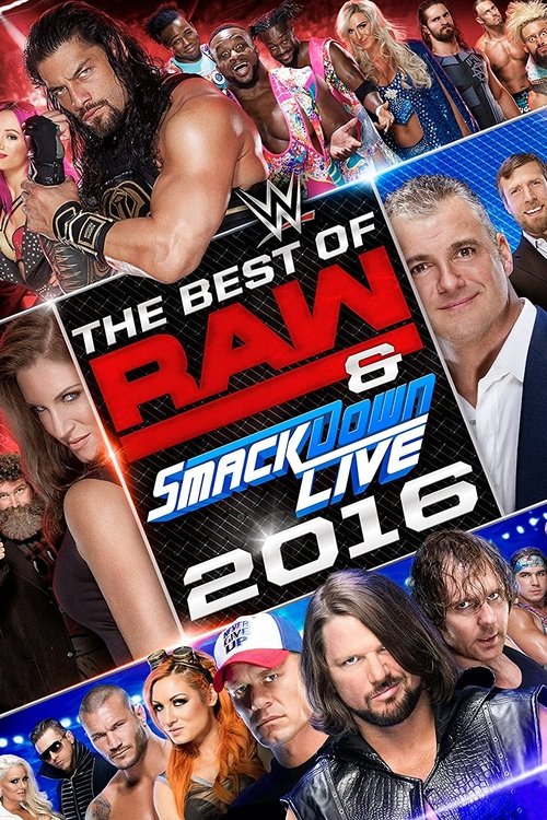 WWE Best of Raw & SmackDown Live 2016 (2017) poster