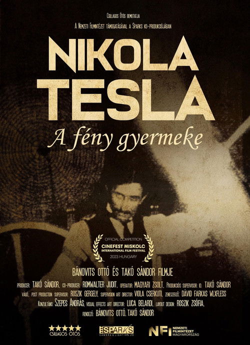 Nikola before Tesla (2024) poster