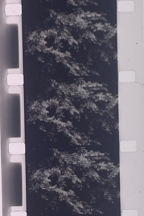 Plotting the Grey Scale: 2 or 3 Quick Traverses (1985) poster