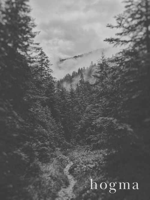 Hogma (2013) poster