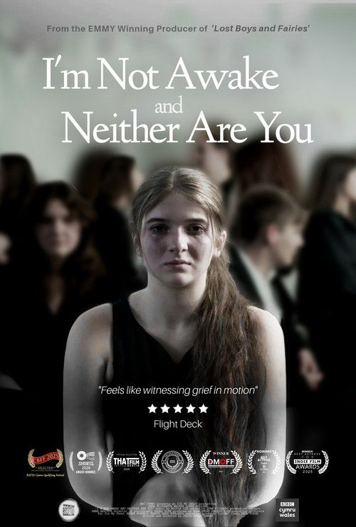 I'm Not Awake and Neither Are You (2024) poster