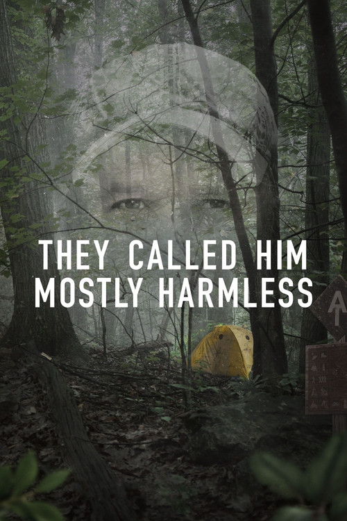 They Called Him Mostly Harmless (2024) poster