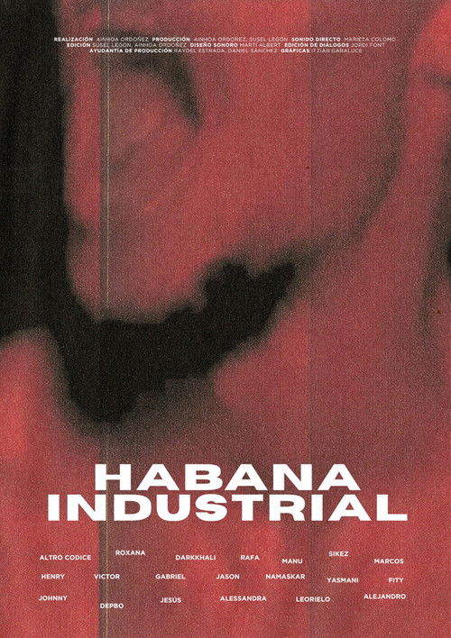 Habana industrial (2025) poster