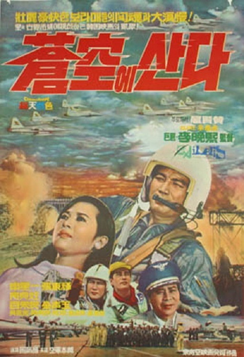 창공에 산다 (1968) poster